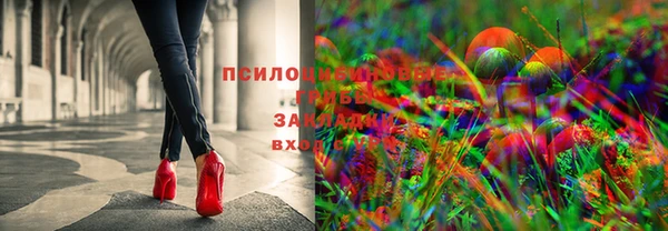 МДПВ Магас